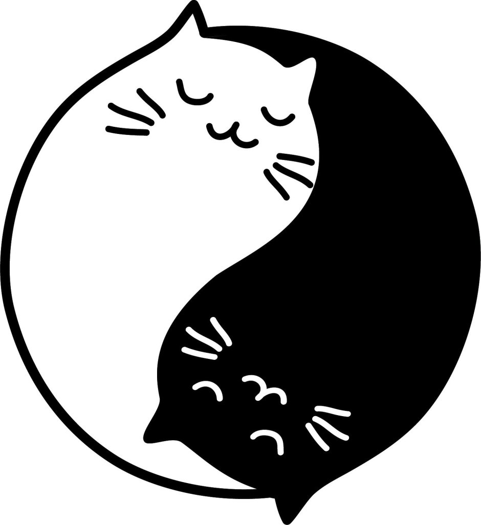 Кошка в круге
