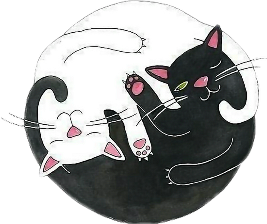 Коты рисунки