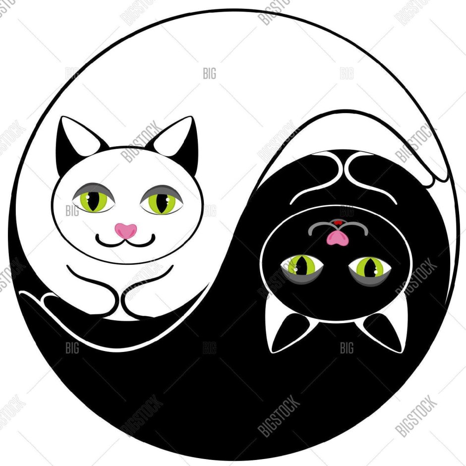 Кошки Инь Янь вектор