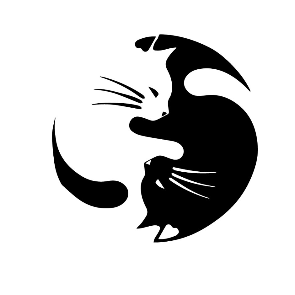 Кот Инь Янь