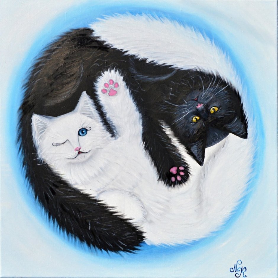 Кот Инь Янь