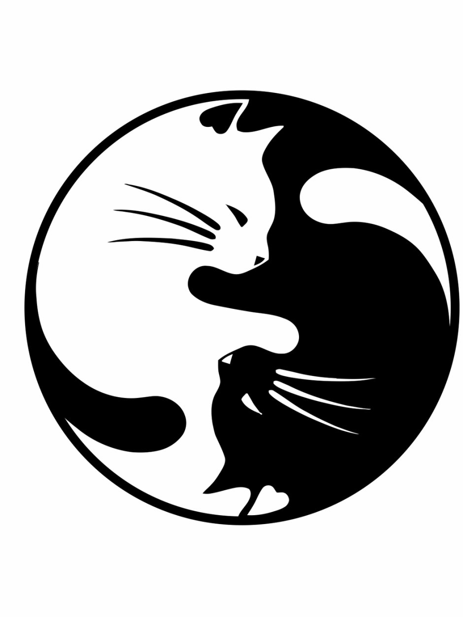 Тату Инь Янь кошки