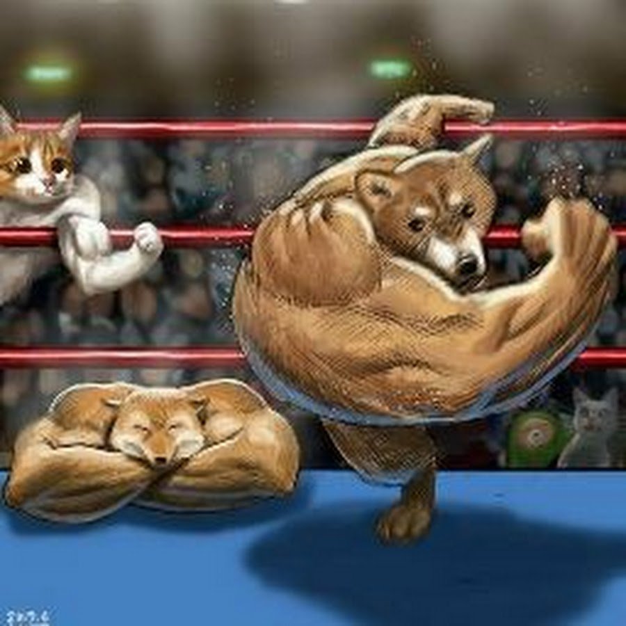 Животные с накаченными мышцами