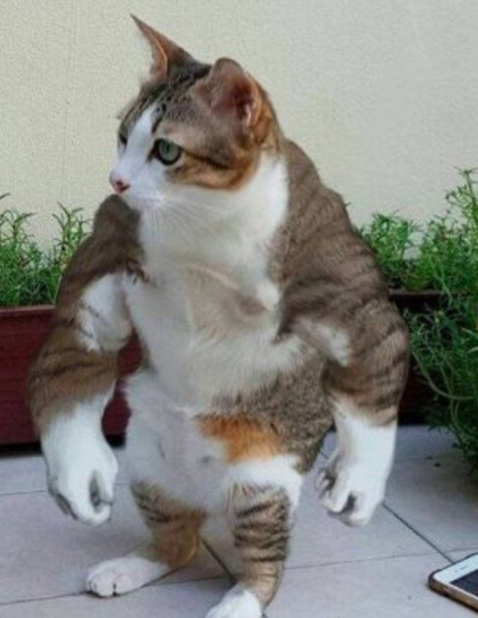 Нет проблем прикол