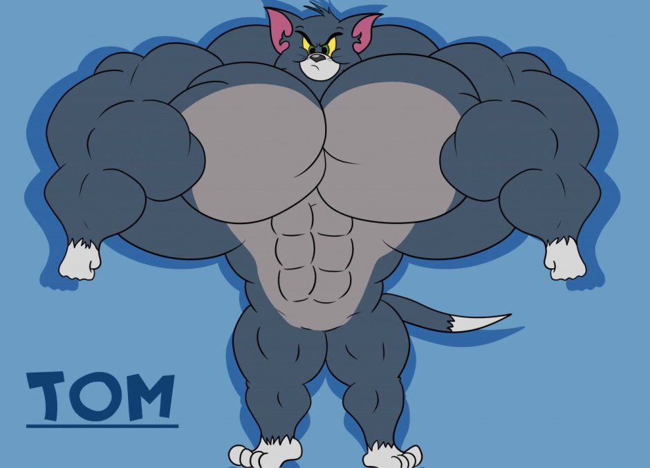 Накаченный кот том