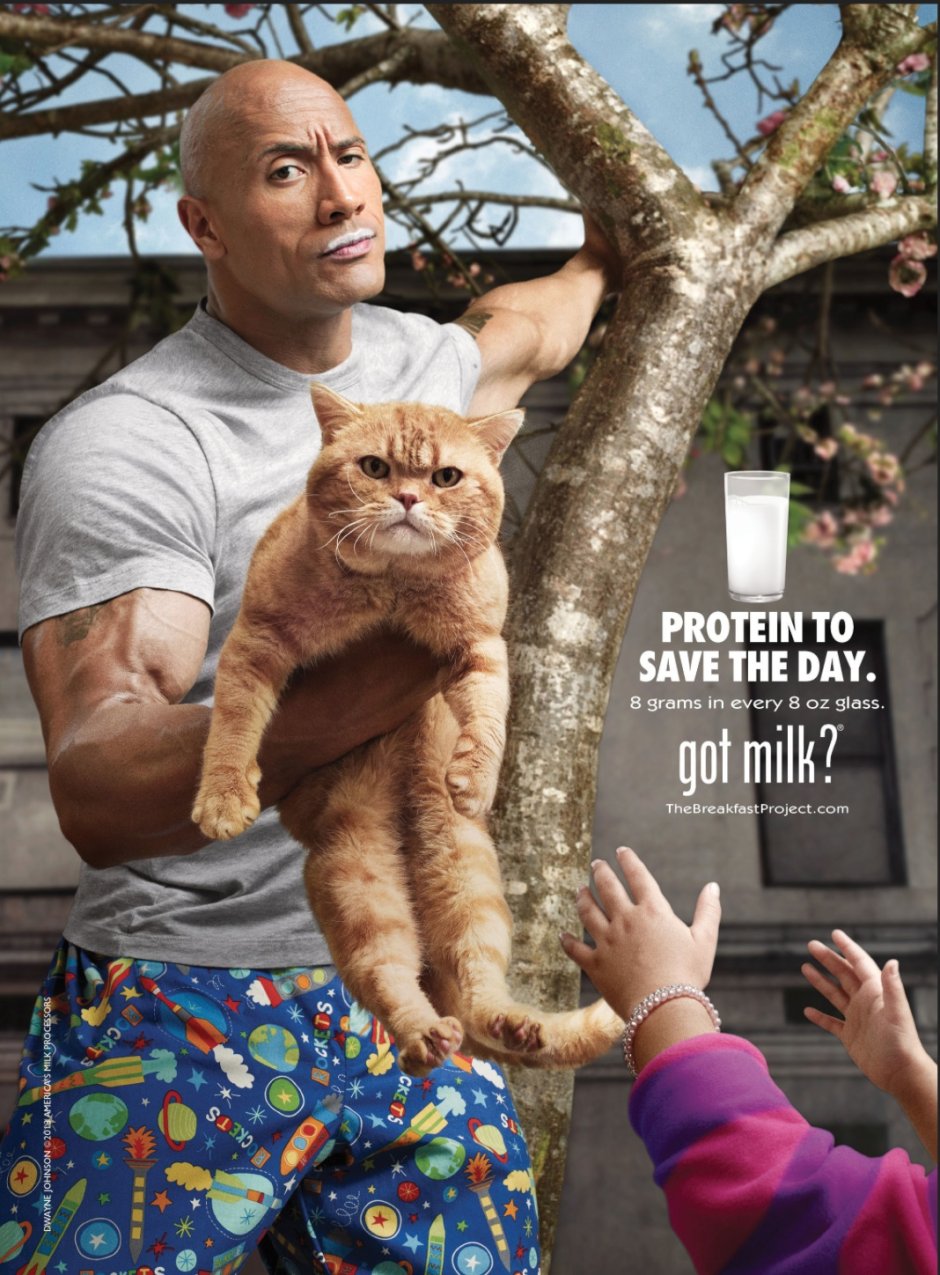 Кот Дуэйн Джонсон