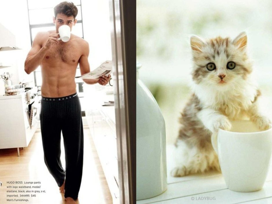 Накаченный парень с котиком