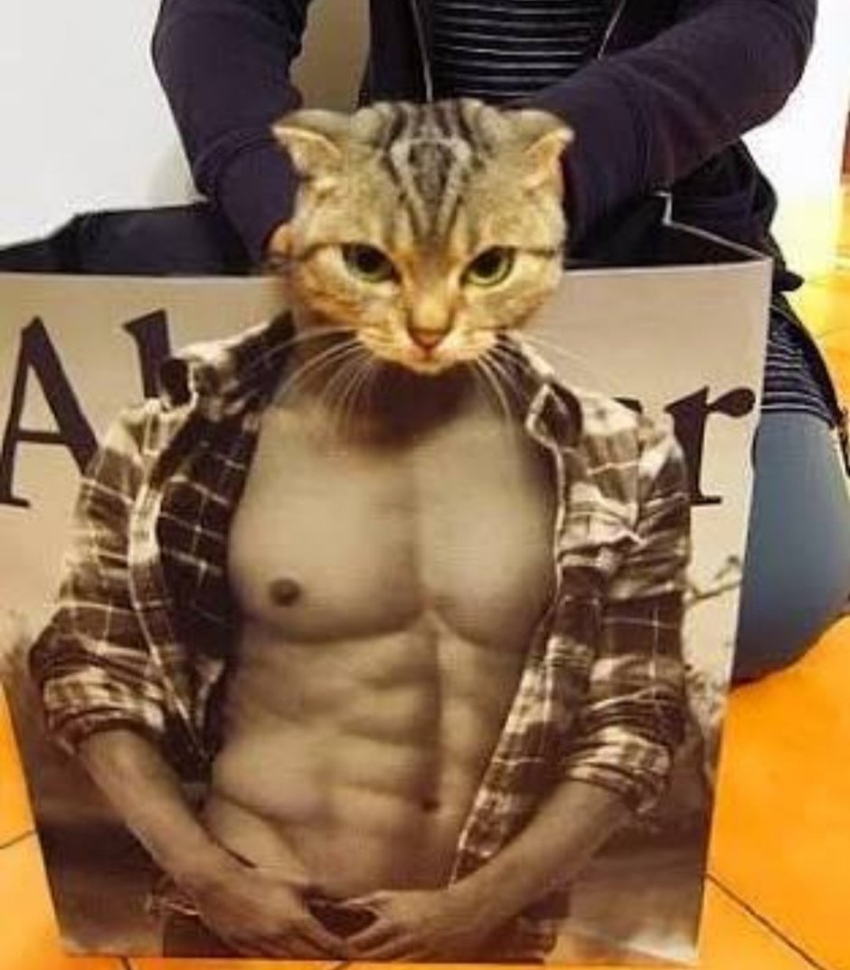 Французский бульдог Дуэйна Джонсона