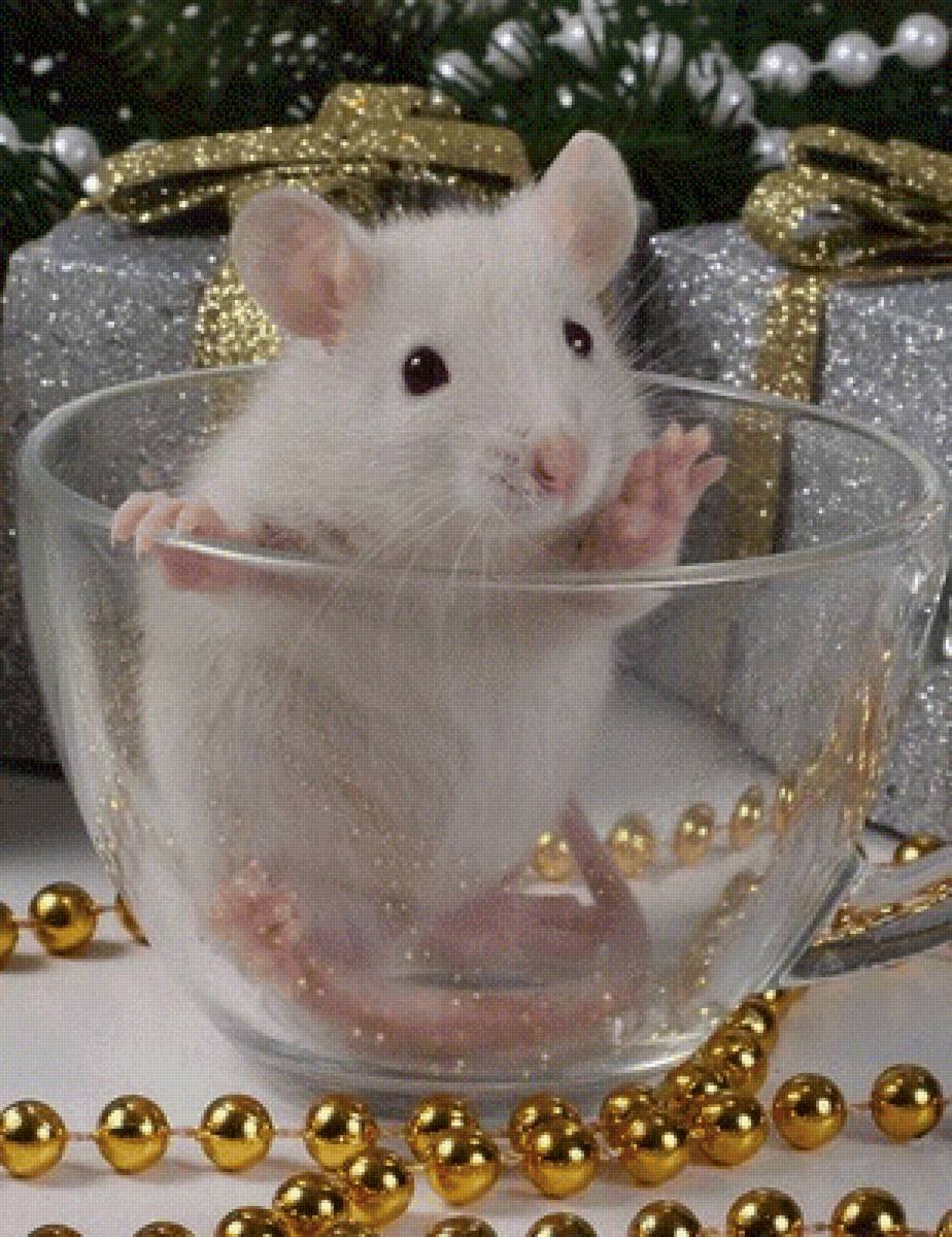 Милый мышонок настоящий