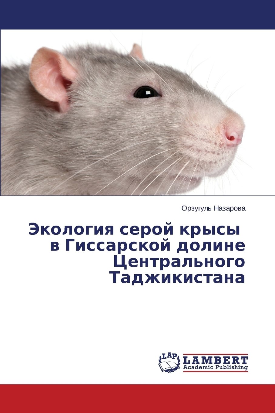 Тип симметрии серой крысы