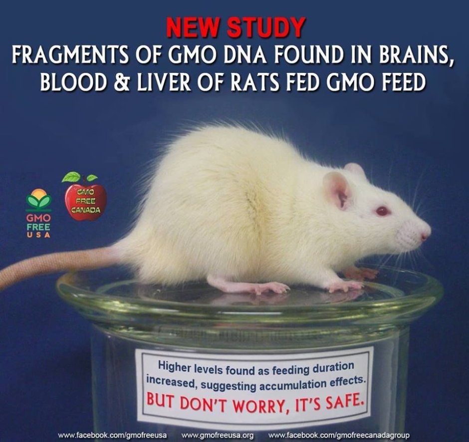 Heat mat Wistar крысы