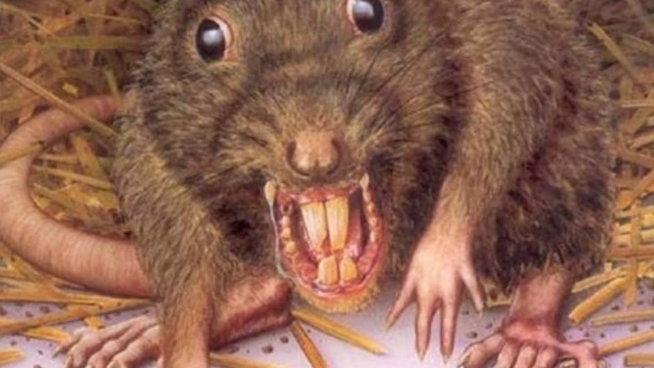 Крыса белая сбоку