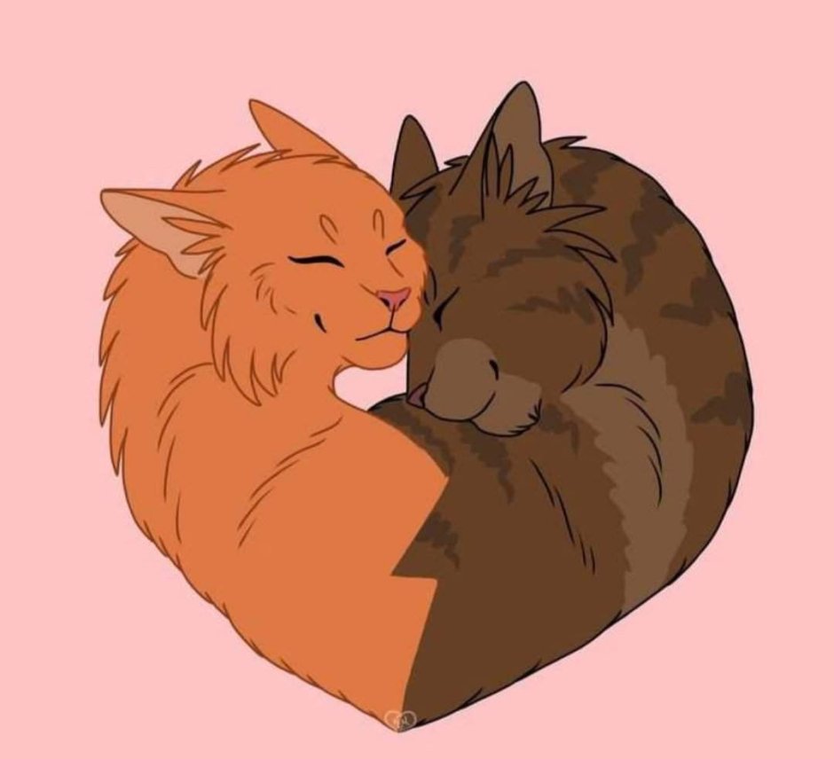 КОТКОТЫ Воители ежевика и белка