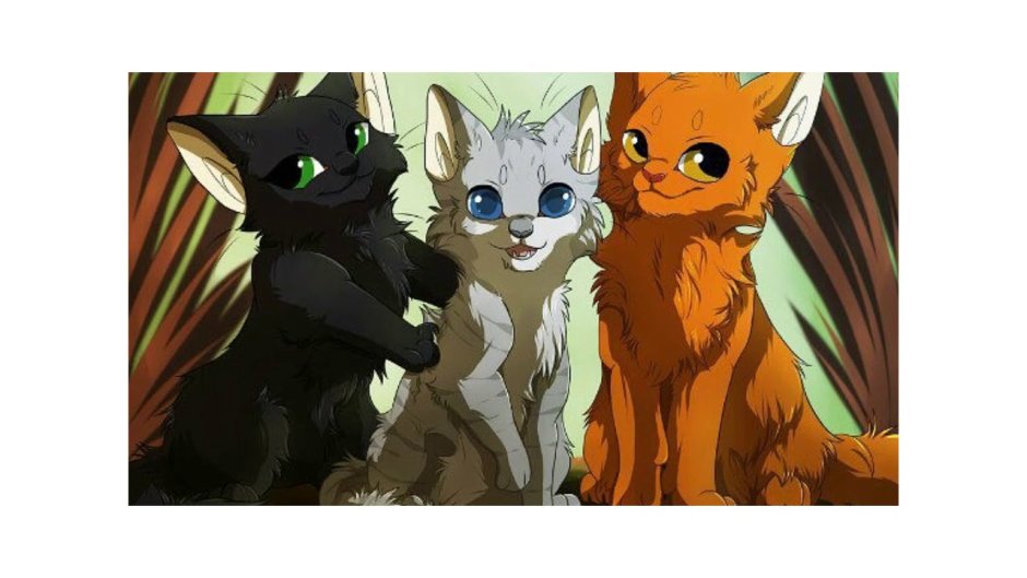 Cats Warriors белка