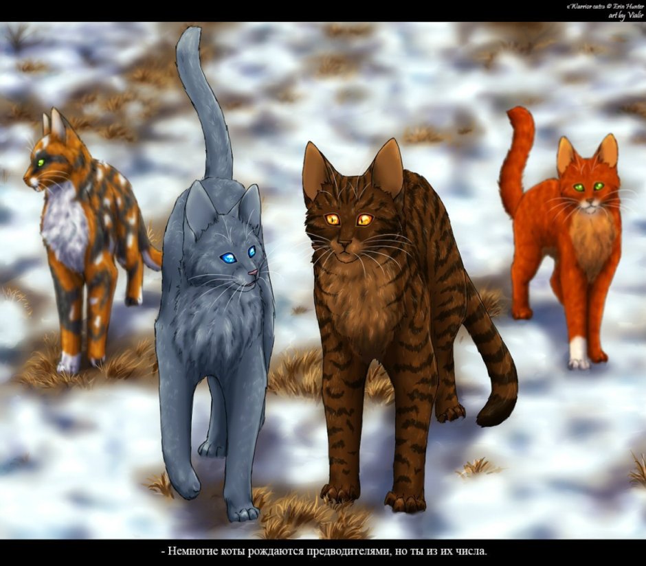 Коты Воители Огнезвёзд и Песчаная буря