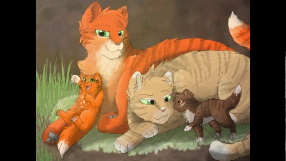 Коты Воители Пурди