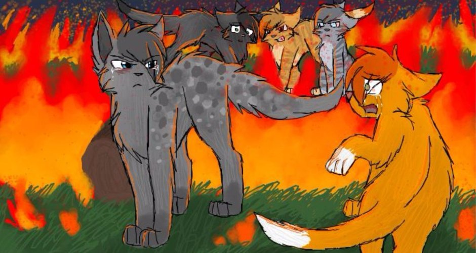 Коты Воители арт GRAYPILLOW