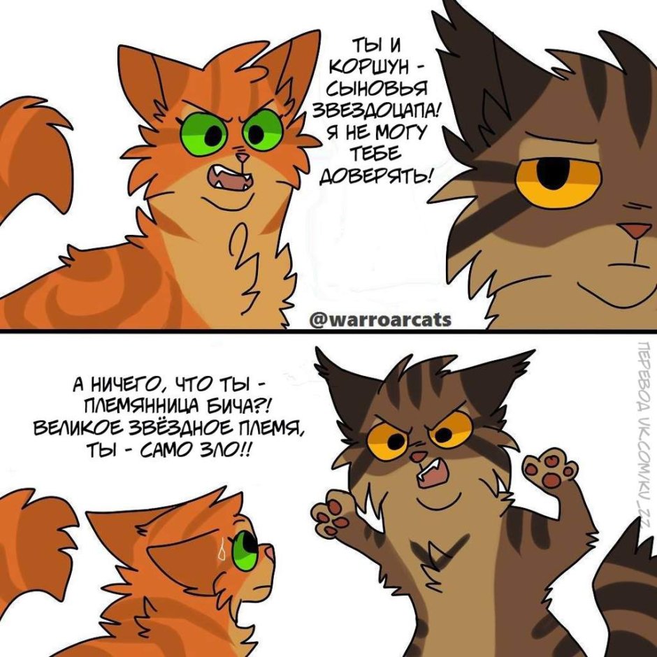 Коты Воители белка и ежевика приколы