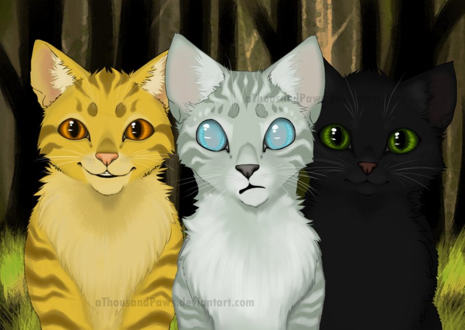 Коты Воители ежевика и Джесси