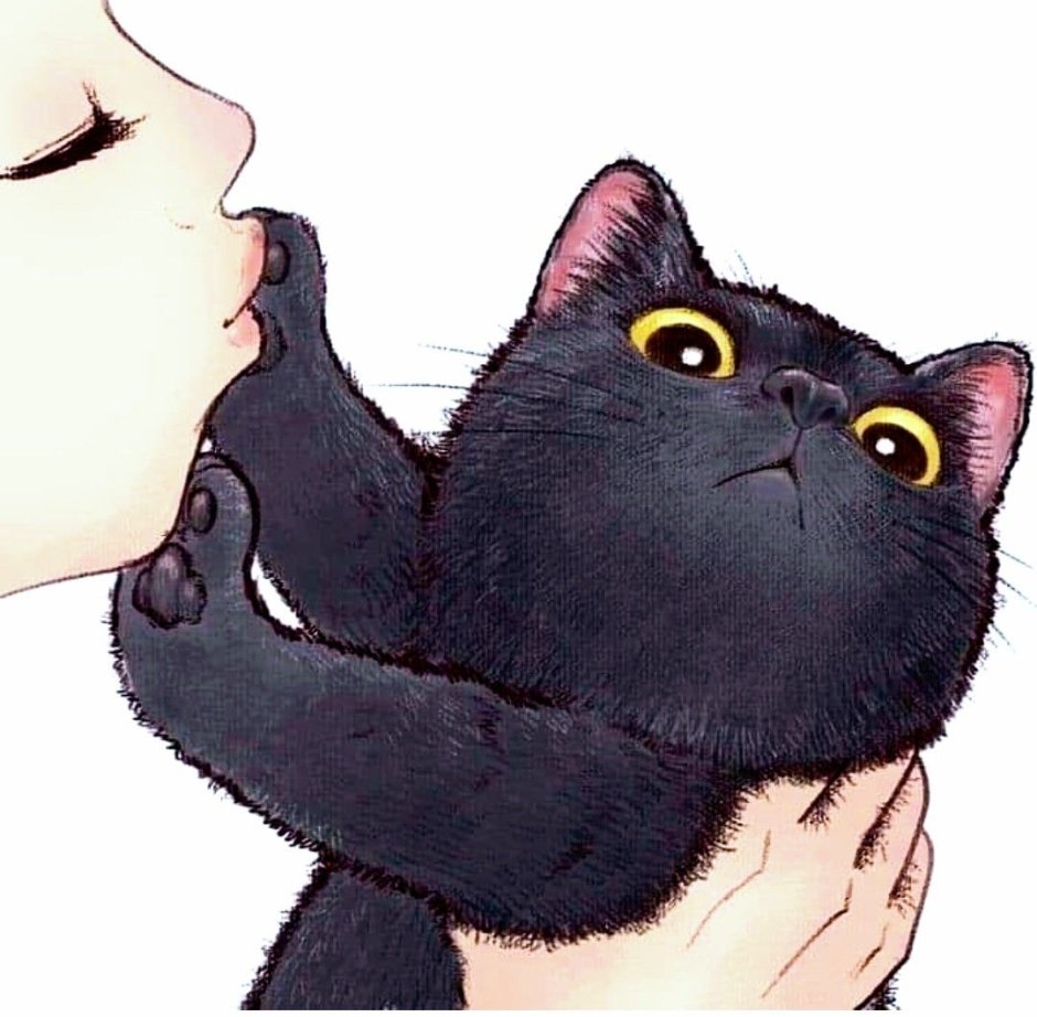 Два смешных кота