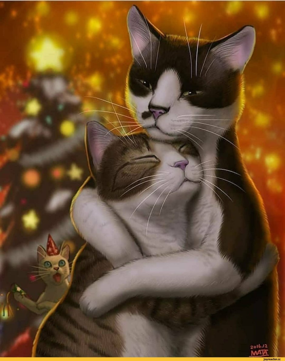 Коты Воители белохвост