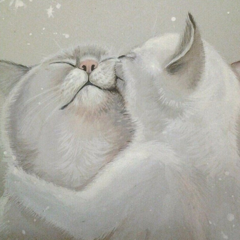 Bird born котоаватарки