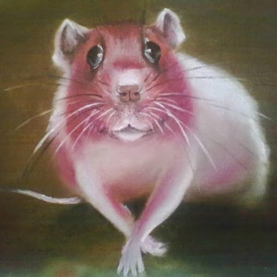 Красная крыса