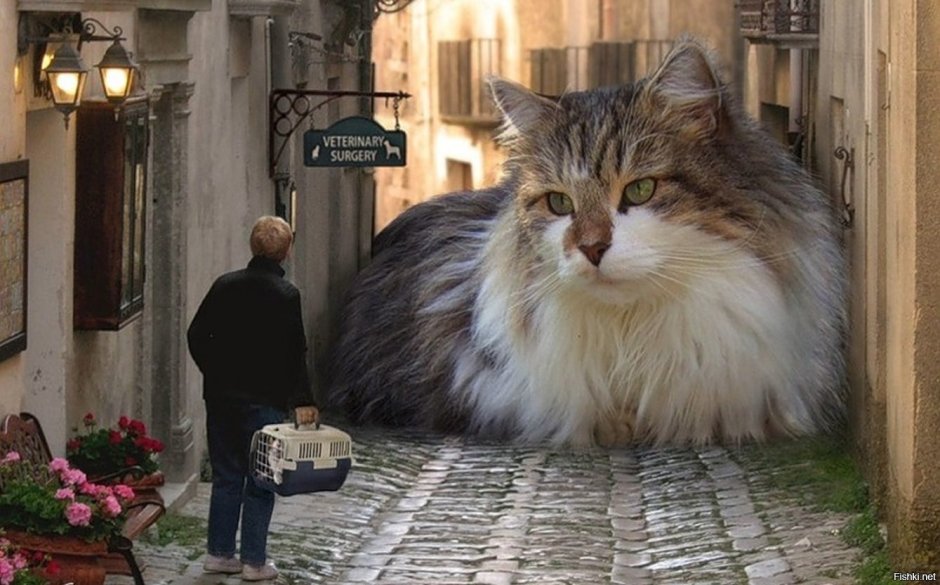 Лесной кот