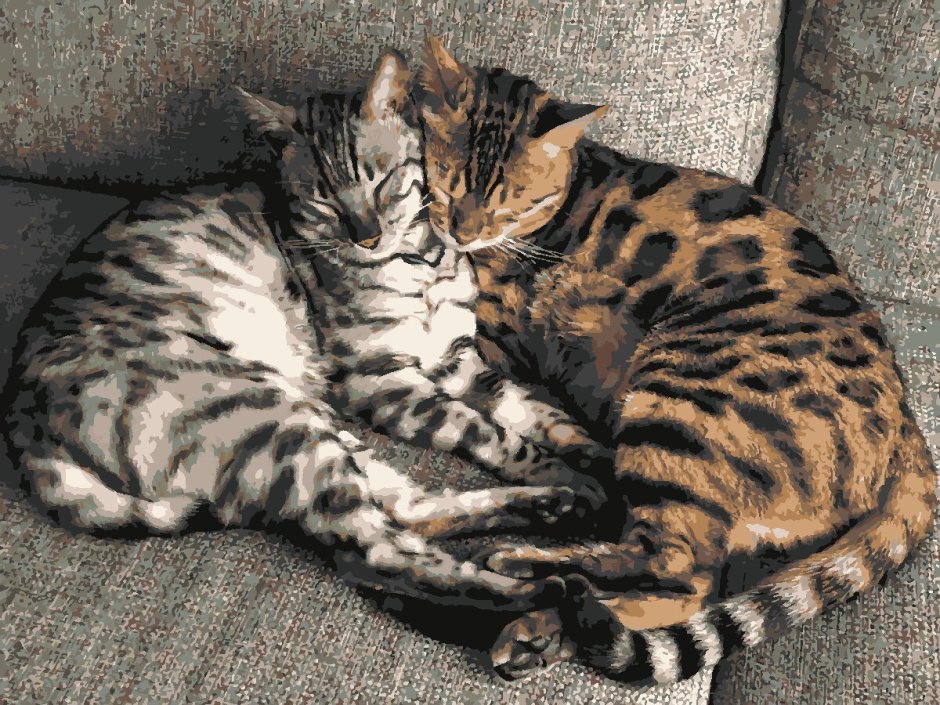 Бенгальский кот