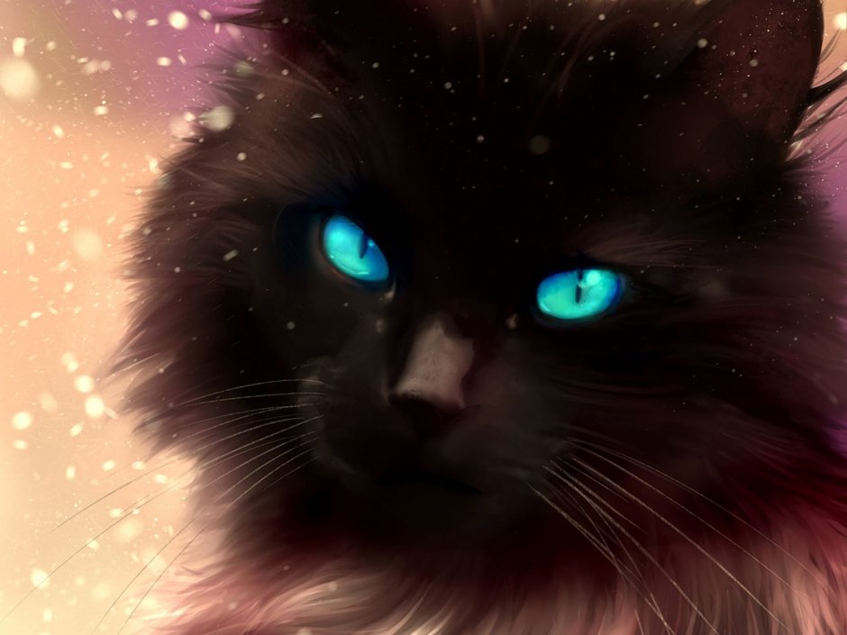 Коты Воители синяя звезда Эстетика