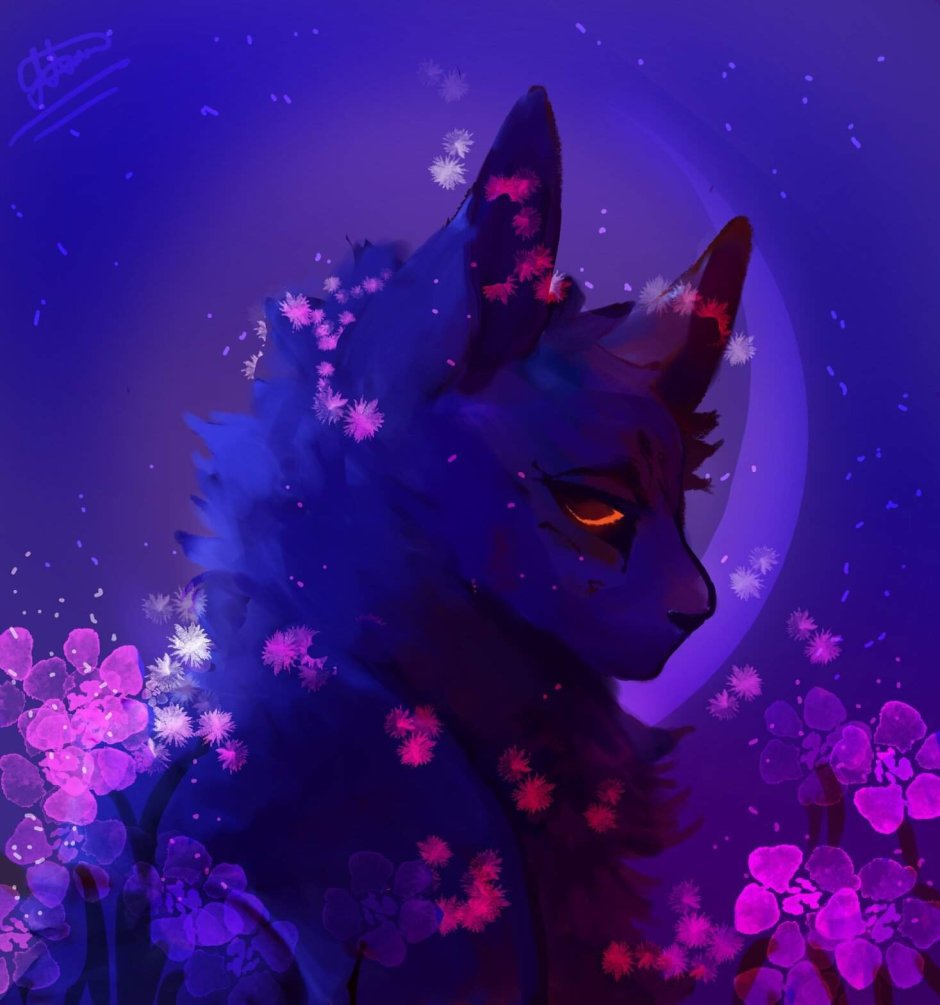 Space Rain Purple Cat