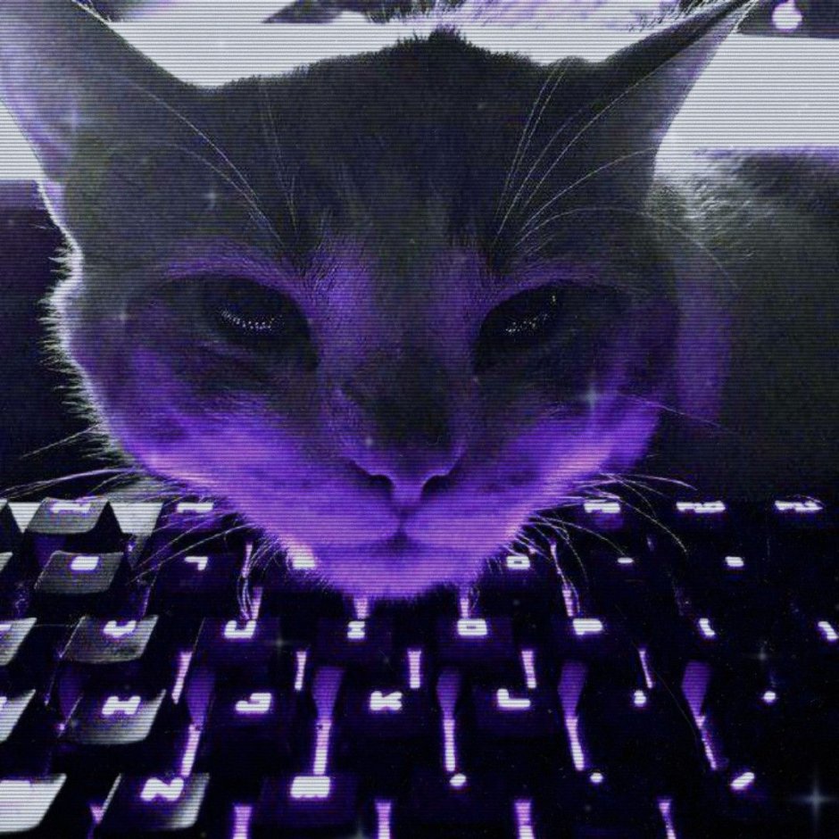 Коты Воители Фиалковая звезда