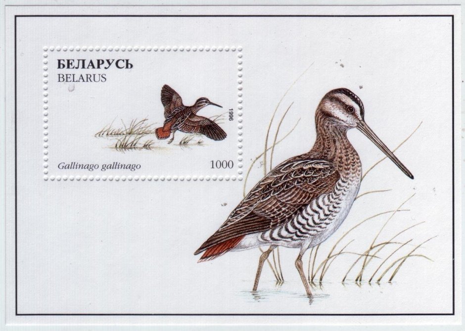 Block of stamps fauna Беларусь