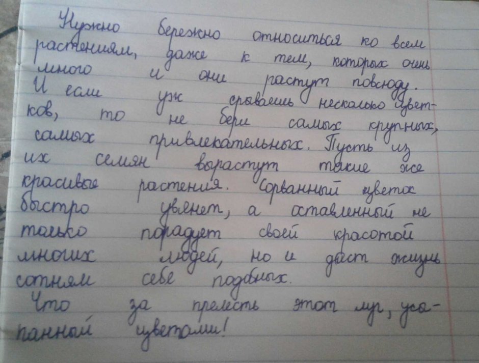 Норы от карбыша