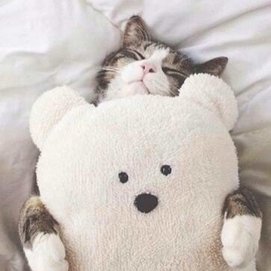 Доброе утро прикол