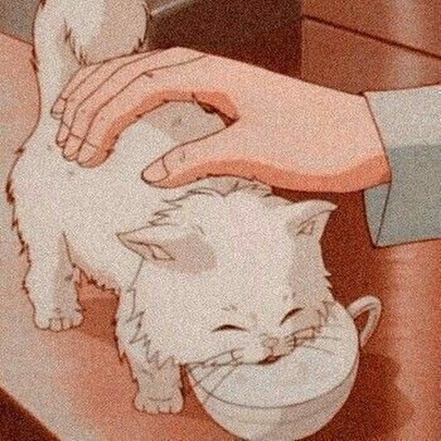 Аниме котики Эстетика