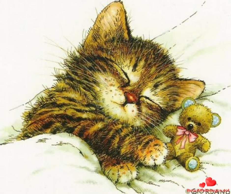 Открытка спящий котик