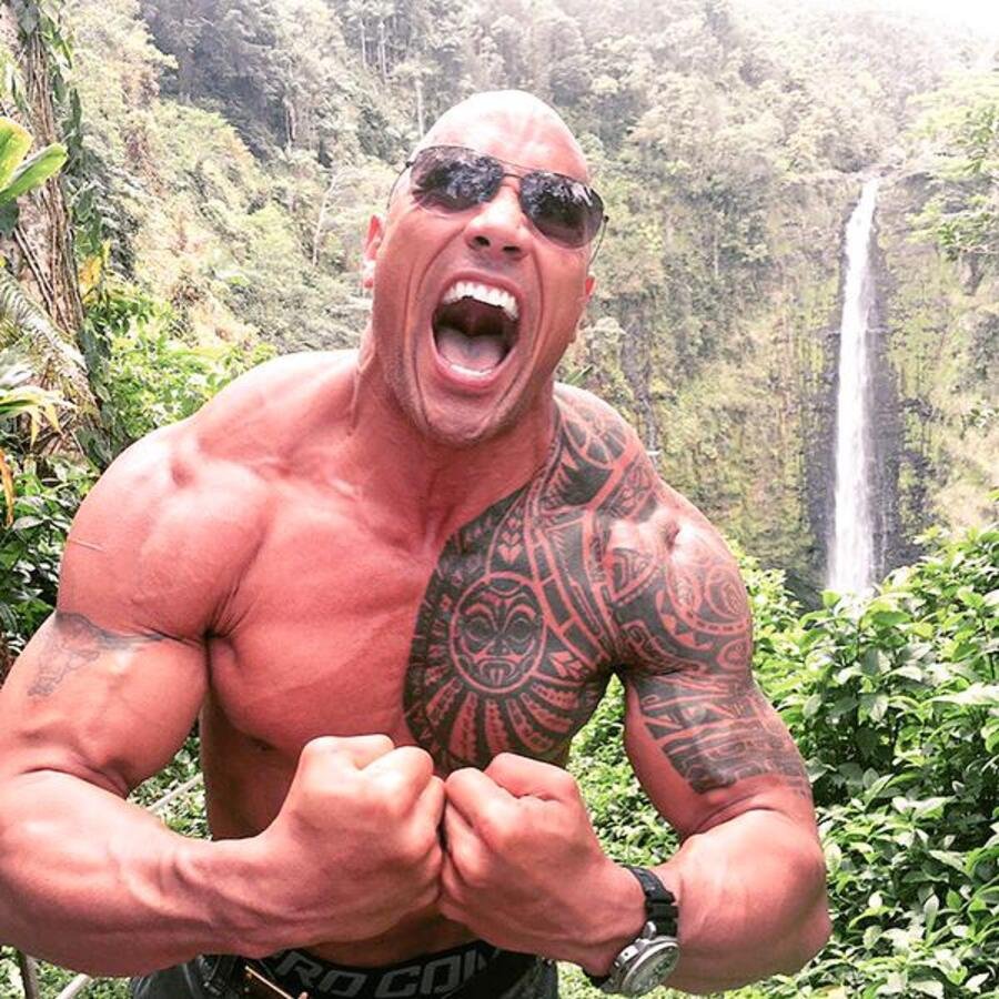 Скала Рой Джонс