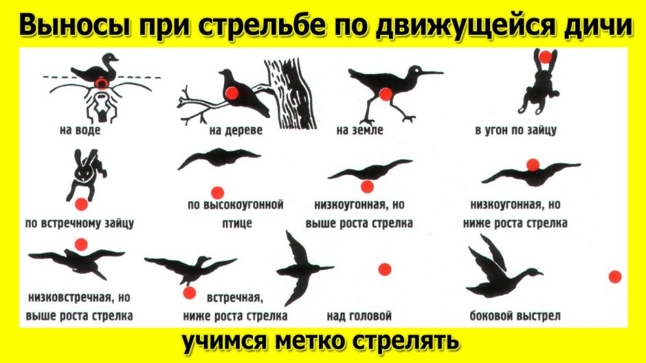 Как правильно стрелять из охотничьего ружья