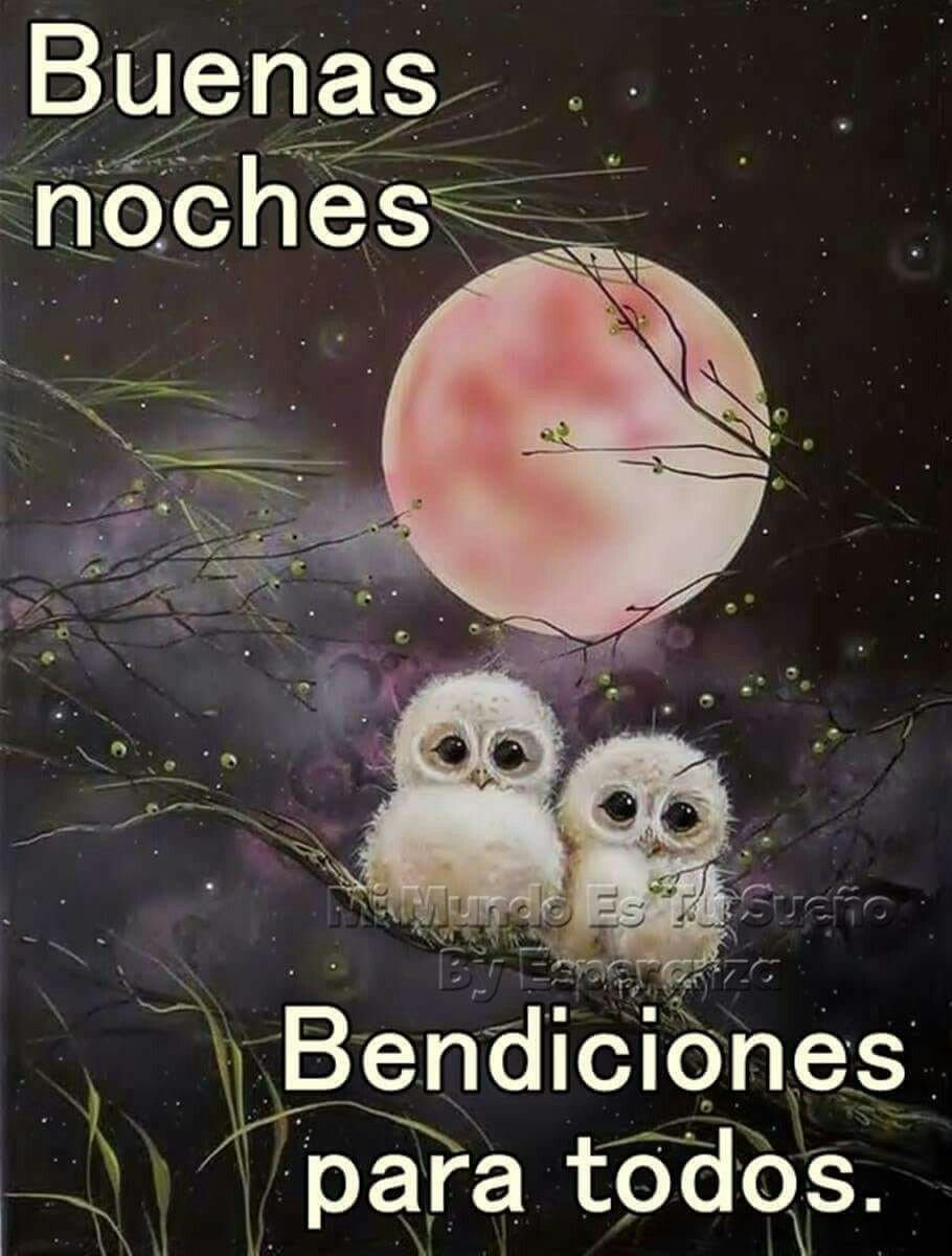 Ночь Луна Сова