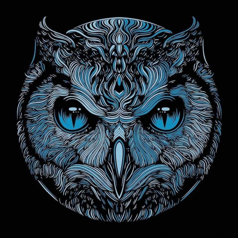 Черная Сова арт