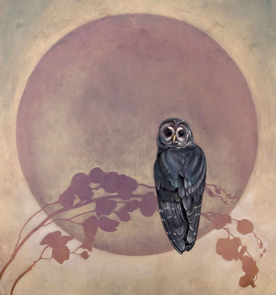 Сова и Луна рисунок