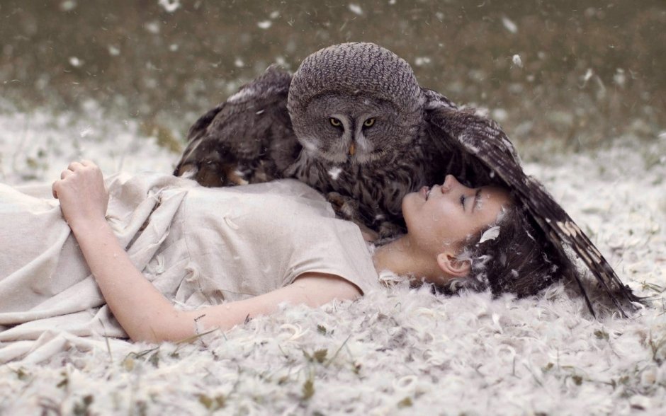 Ученая Сова на дереве