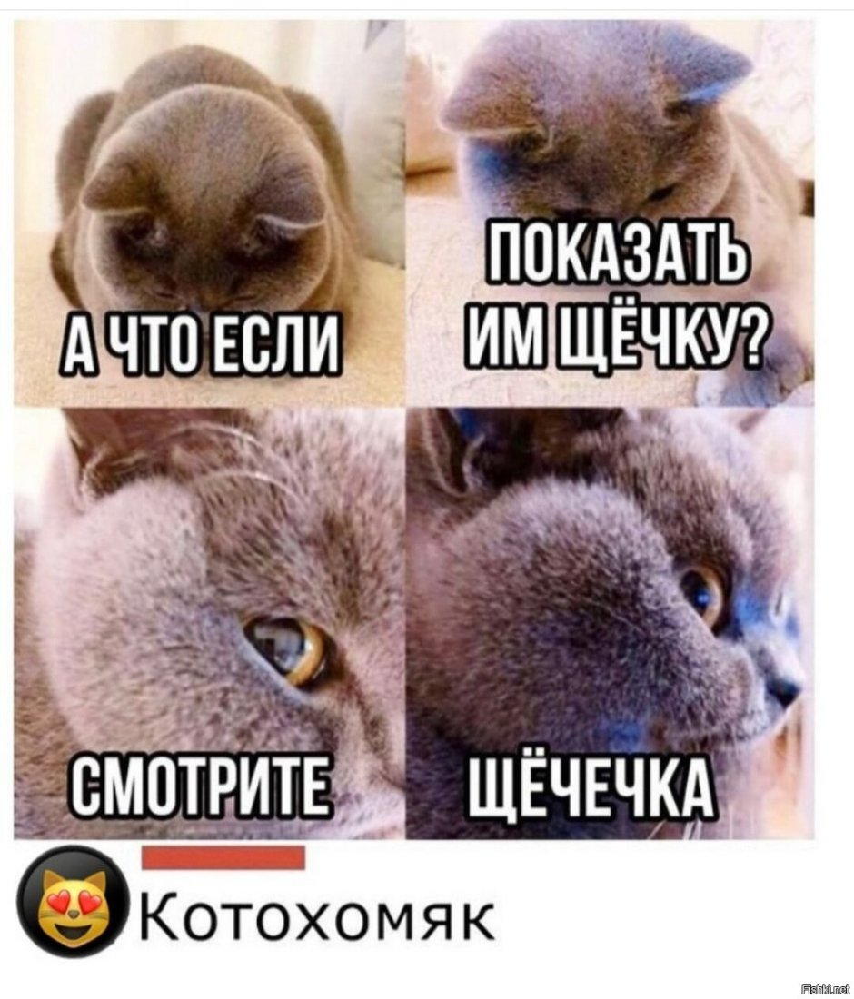 Puny Стикеры