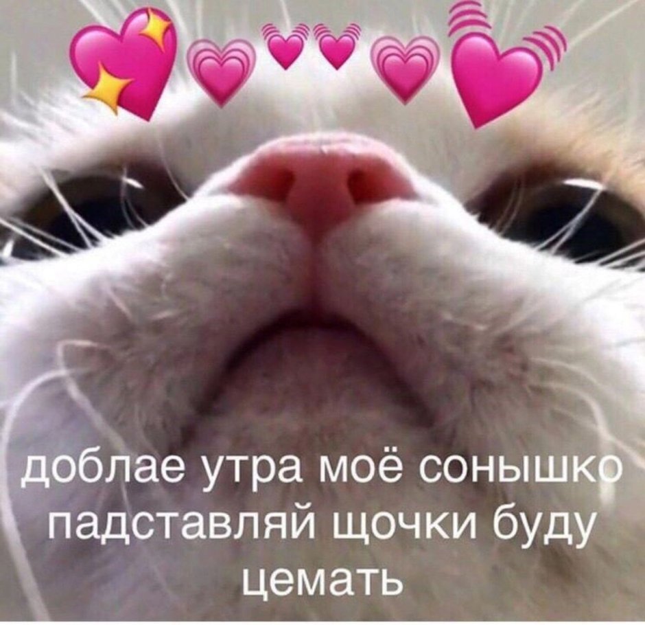 Надутые щеки прикол