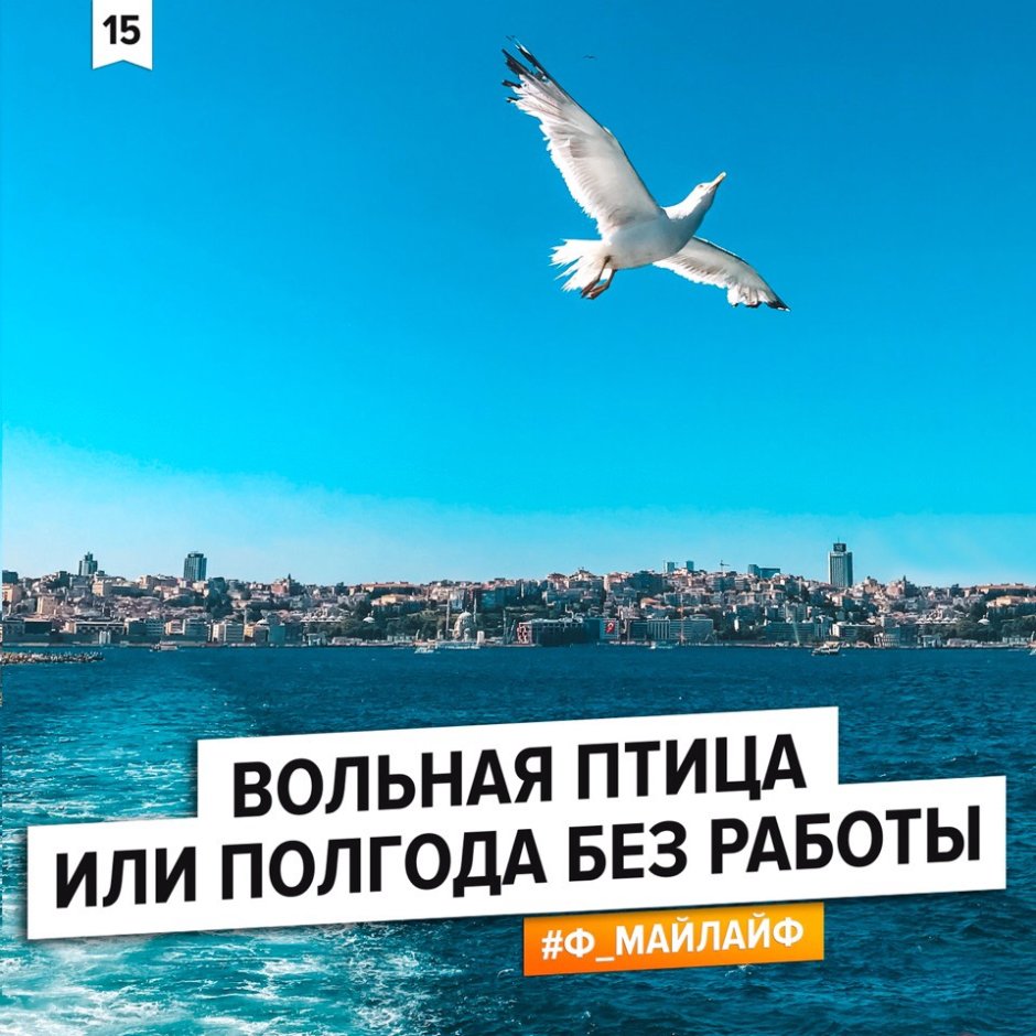 Орел над пропастью