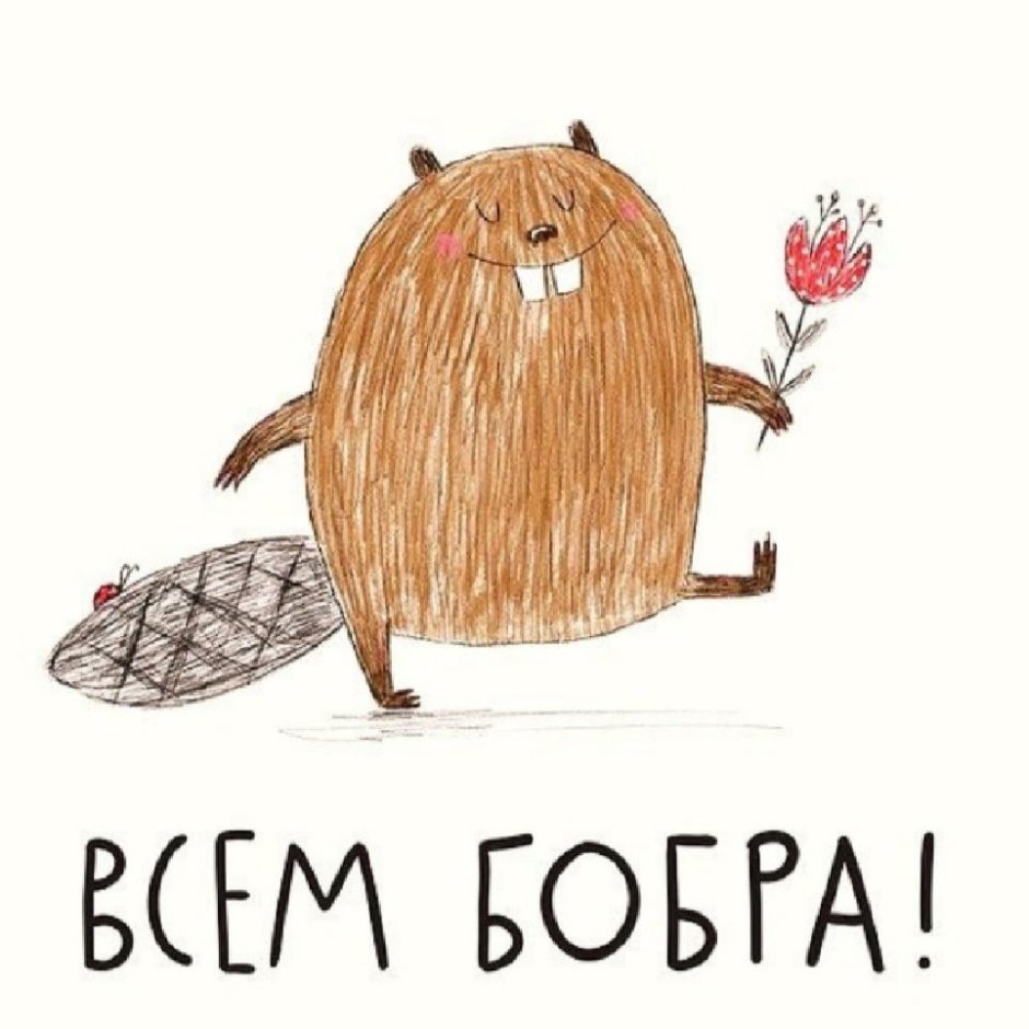 Всем бобра