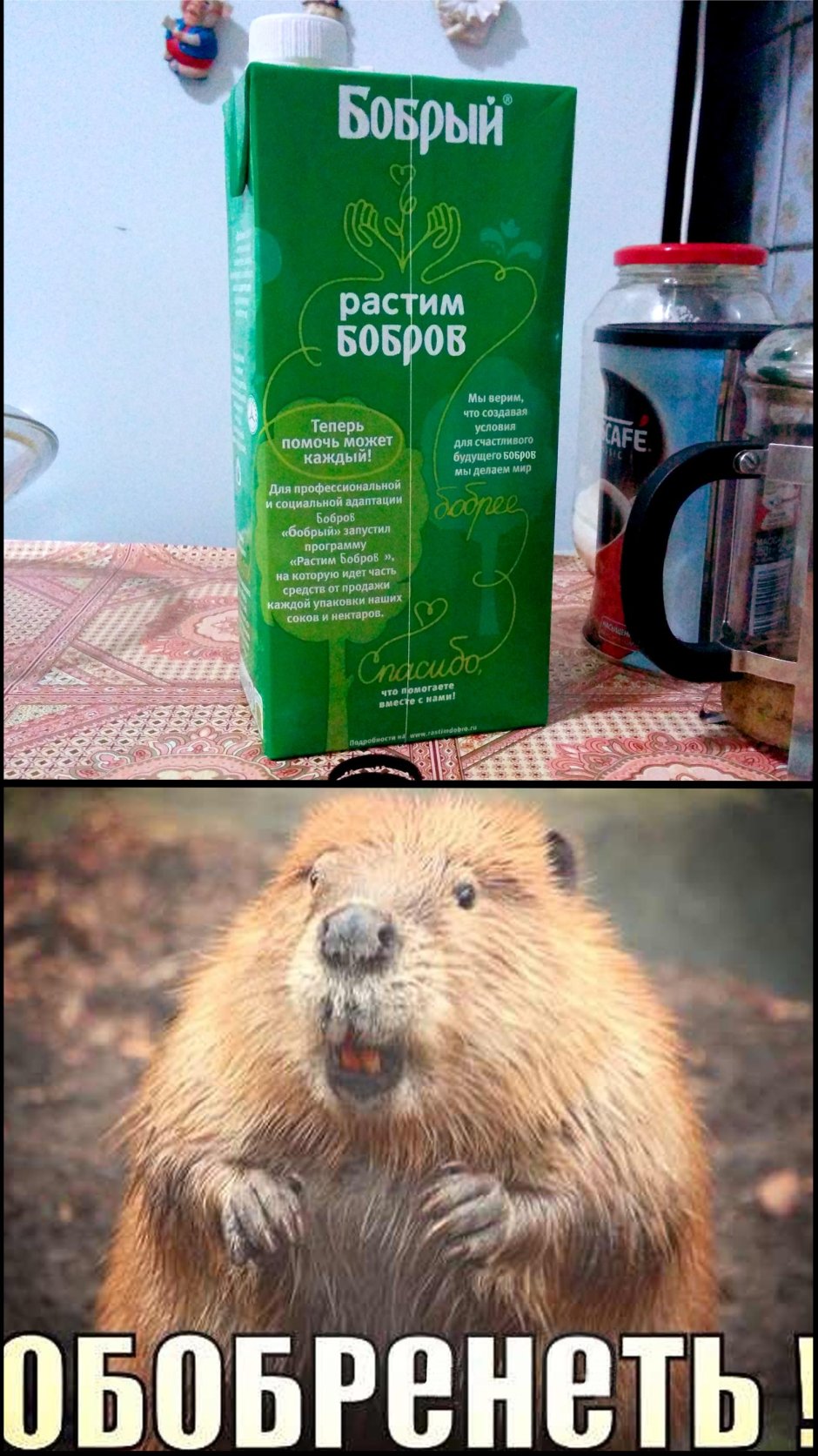 Шутки про Бобров смешные