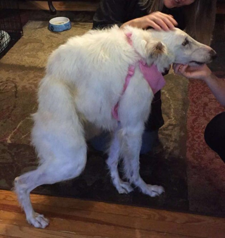 Путин вцепился в стол