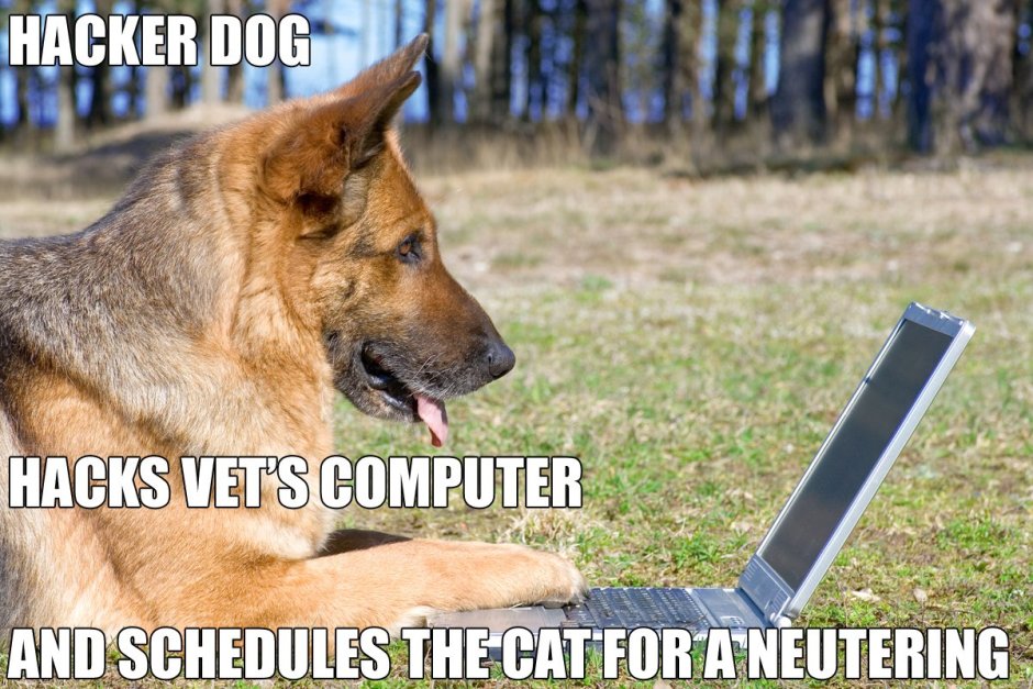 Немецкая овчарка